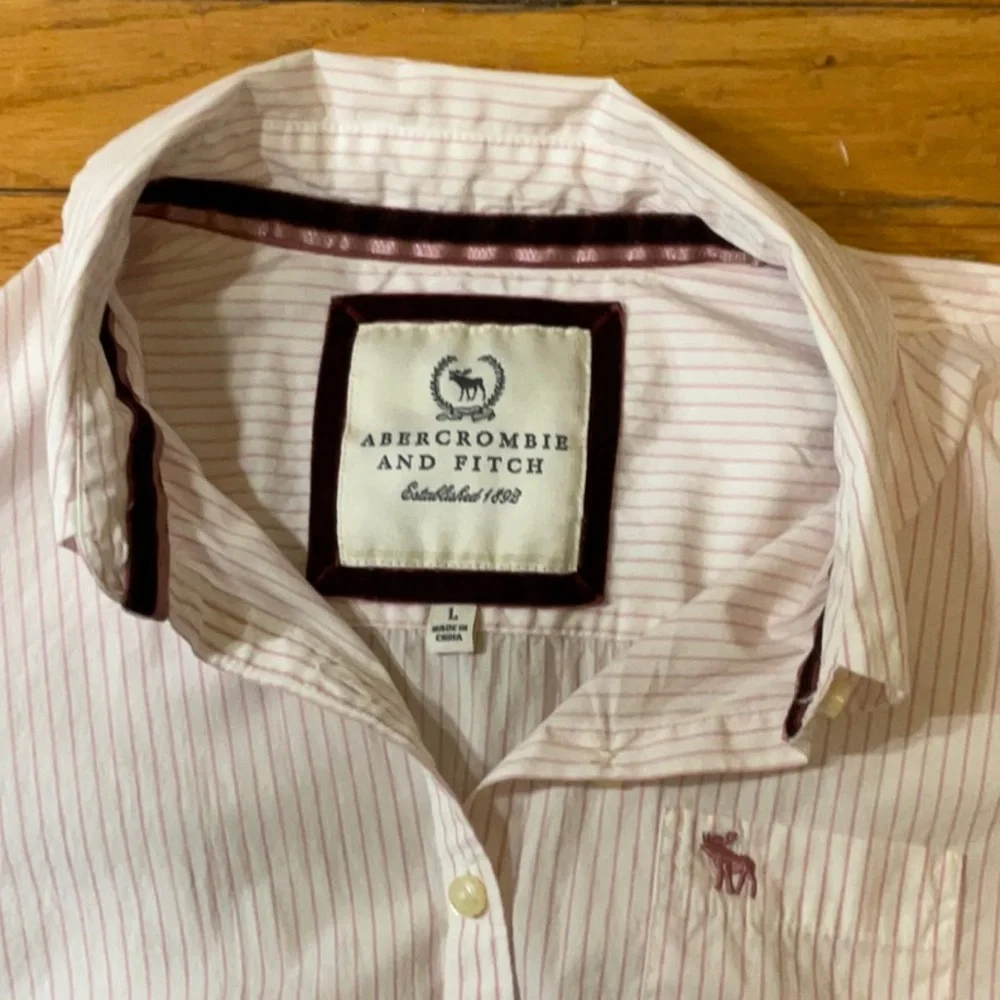 Abercrombie and Fitch Light Pink Pinstripe Long sleeve Blouse - Picture 2 of 12